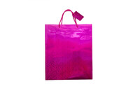 BOLSA P/REGALO GDE BRI