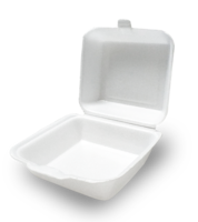 BANDEJA FOM 6X6 50 PZ